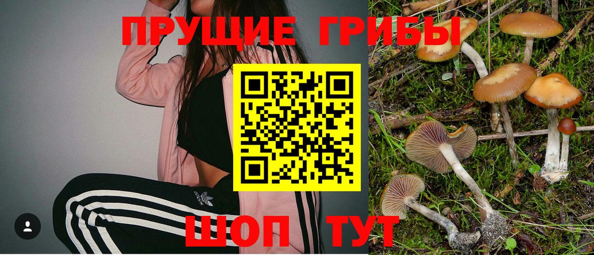 Псилоцибиновые грибы MAGIC MUSHROOMS  Вход с VPN  сколько стоит  Дзержинский 